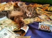 Каким знакам Зодиака повезет с подработкой в начале октября-2022