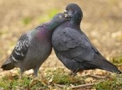 16 марта. Приметы дня