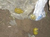 В Константиновке мужчина нашел гранаты и закопал их в огороде
