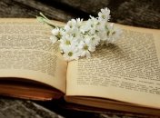 "100 историй, чтобы сказать вам спасибо": в Великобритании готовят книгу с благодарностями медикам