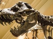 Палеонтолог нашел родину "короля динозавров"