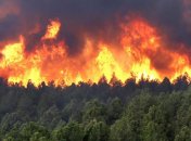 Возле Ниццы эвакуируют людей из-за лесных пожаров