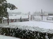 После 30-градусной жары: в Канаде внезапно выпал снег