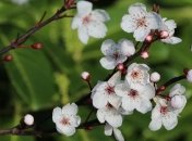 Федор (Неводник) Власяничник: приметы и обряды на 3 мая