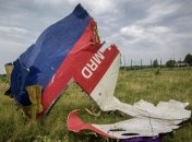 Госдепартамент США призвал создать основу для наказания виновных в сбитии MH17  