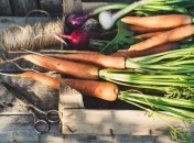 Морква і цибуля мають унікальні властивості