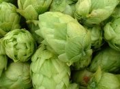 Лечение селезенки средствами народной медицины