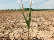 Вчені прогнозують нові катаклізми через спеку