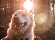 Когда вернется жара: прогноз погоды в Украине