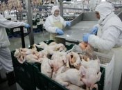 Казахстан рекордно нарастил производство мяса птицы с начала года