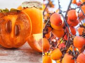 Обов’язково додайте хурму до свого раціону.