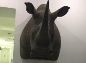 В Европарламенте призывают запретить трофейную охоту