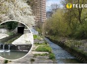 Река Лыбедь