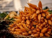 Морква — одна з найпопулярніших городніх культур