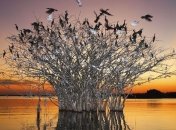 Пантанал - крупнейшие сезонные болота в мире