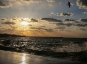 Украина лишилась почти всех рыболовецких ресурсов в Черном море 