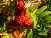 11 сентября. Приметы дня