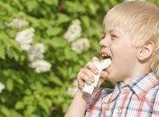 Удаление аденоидов и миндален приводит к снижению астмы