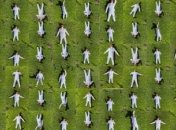 Взялся за старое: Малюська снова рекламирует тюрьму через свои картины  (фото)