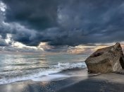 Старый бетон может защитить природу