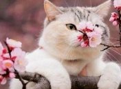 Когда потеплеет: прогноз погоды на неделю 