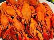 Чемпионат по ловле раков пройдет в Беларуси