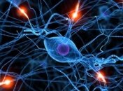 Ученые изобрели искусственный нерв от хронических болей