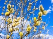 12 марта. Приметы дня