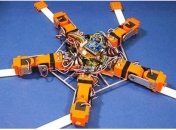 Японские ученые создали первого в мире робота-морскую звезду