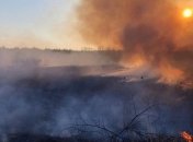 Пожар в Чернобыльской зоне: в ГСЧС отчитались о ситуации (Видео)