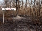 ДСНС повідомляє, що вогню в Чорнобильській зоні немає