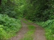 Как защититься от клещей