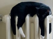 Теплой зиме быть: в "Нафтогазе" заявили об успехе подготовки к отопительному сезону