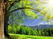 Погода в Украине на сегодня: солнечно будет по всей стране   