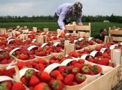 Германия продлила разрешение на въезд сезонных работников