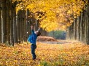 Прогноз погоды в Украине на 14 октября: ожидаются небольшие дожди 