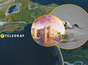 На "Тузлівських лиманах" селиться унікальний птах