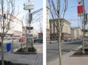 Суд обязал поставщика высадить на Крещатике каштаны Бриоти