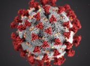 Показник активних хворих на COVID-19 перевищив допустиму норму