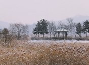 Когда же долгожданная зима? Прогноз погоды на выходные