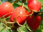 Рецепт для восстановления работы печени 