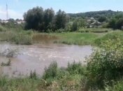 В Одесской области из-за наводнения на поля выносит рыбу (Видео)