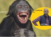 Коллаж, "Телеграф"