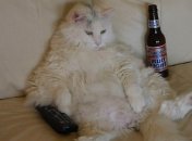 Нежелание уделить время физической активности - заболевание