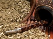 Лечебные свойства волшебного напитка мате