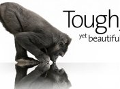 Названы характеристики будущего Gorilla Glass