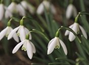 Прогноз погоды в Украине на март 2023