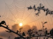 До +28°: синоптики обещают украинцам бабье лето