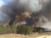 В Херсонской области продолжают бороться с лесным пожаром