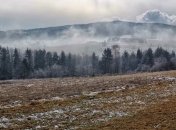 Синоптики прогнозируют ночные морозы: названы регионы 